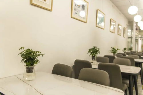 《辐射5》百小时改写，全新体验尽在其中