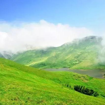 福建惊现百万分之一奇观：“镜面人”五脏六腑全反转！