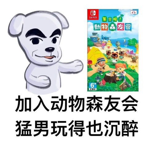 《动物森友会》开荒攻略：新手必看入门教程，轻松打造理想家园