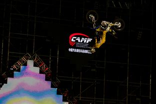 《黎明行者之血周年庆典》音乐盛宴震撼揭晓，视听盛宴再升级