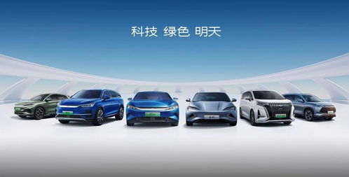 比亚迪新能源汽车，LS集团会长亲证创新力量