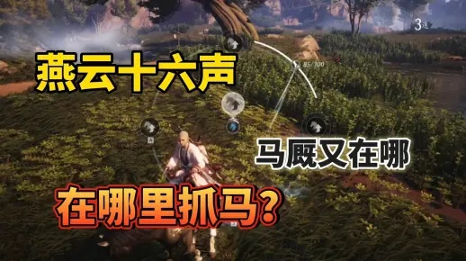 燕云十六声相马抢马技巧攻略，高效提升战力新秘籍