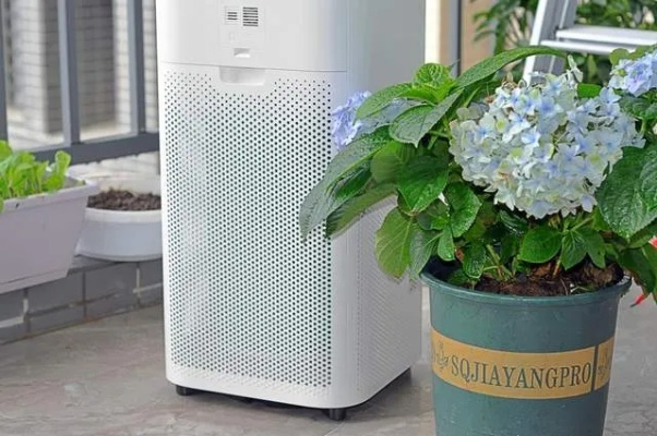 米家空气净化器6 Pro首发：除醛率99%，打造清新家居新体验