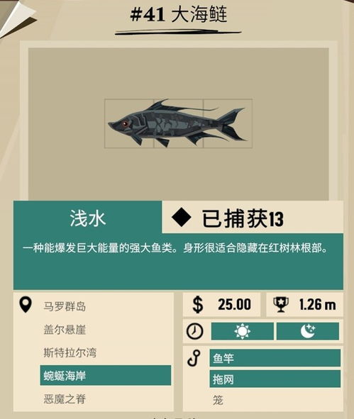 《渔帆暗涌》长袍人攻略：揭秘神秘位置与升级秘籍