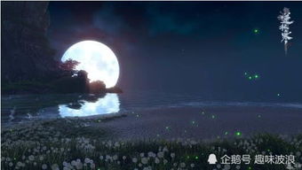 《逆水寒》鸟笼奇遇攻略：前置任务轻松解锁新玩法