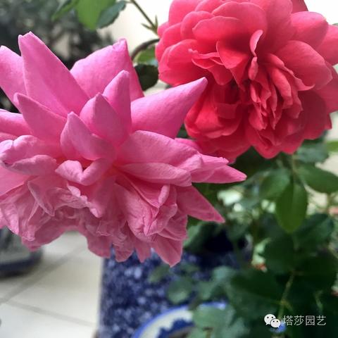 《永恒之塔2》深度揭秘：日志系统全新价值解析