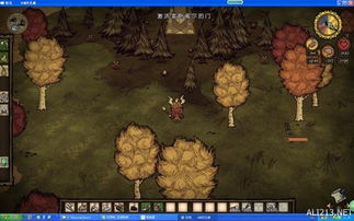 洞穴探险攻略：深度解析《饥荒》神秘宝藏获取技巧