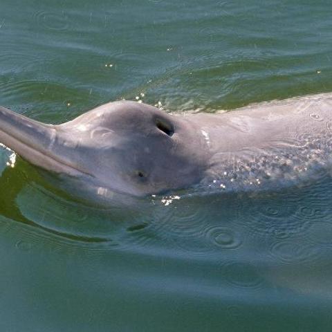 《永恒之塔2》每日副本攻略：深度解析新玩法，解锁神秘宝藏