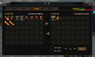 空灵诗篇开服攻略：新手必看，快速上手秘籍大公开