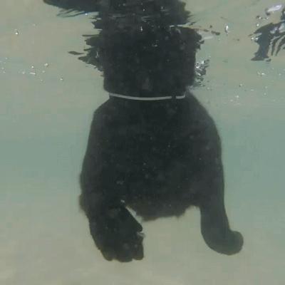 疯狂水世界公测时间揭晓，揭秘全新游戏体验亮点