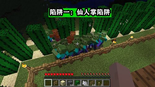 全平台Minecraft全屏切换攻略，轻松解决常见问题大揭秘