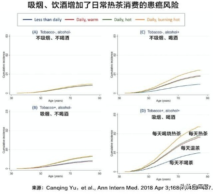 茶菌球成年轻人新宠，养生经济崛起，医生提醒：健康风险需警惕