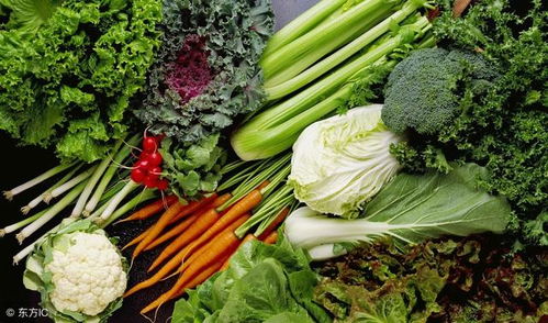 河南趴地菠菜成蔬菜界“爱马仕”，营养新宠引关注