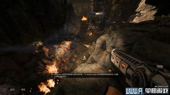 榴弹瓶盾斧锯一体配装攻略：荒野猎人必备绝学解析