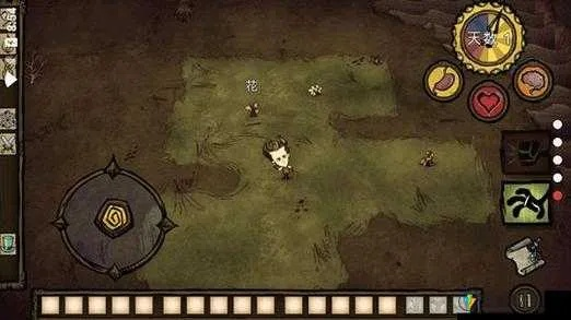 《饥荒》兔人招募攻略：揭秘毛毛王神秘现身技巧