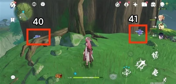 《原神》突破攻略：高效收集王圣体菇，解锁流浪者新境界