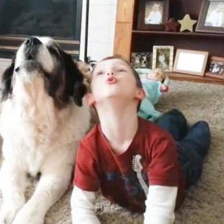 《棕色尘埃2》和谐引热议，官方紧急直播重塑口碑新篇章