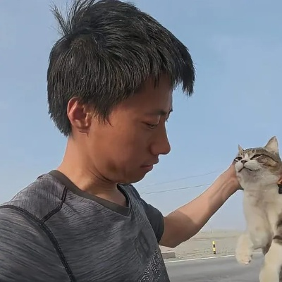 网红小猫成“冤种”明星，游客频施援手，主人特制吊牌守护新宠