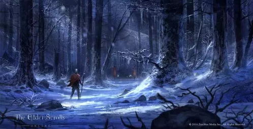 《上古卷轴6》提前公布真相：高层精心策划粉丝安抚大计