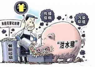 严防“数字泔水”蔓延，短视频虚构情节需警惕空洞无脑改写