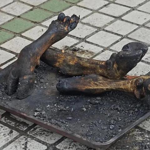 羊蹄山女主魅力非凡，揭秘独特气质魅力点