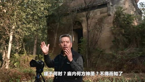 古村变身“竖店”全民拍剧，驴日片酬500元，揭秘影视新风口