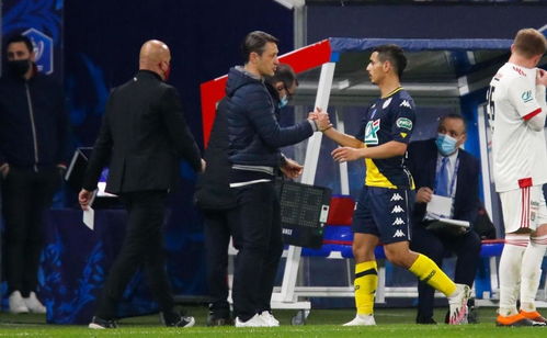 多莉雷火蒸发流攻略：打造全新混伤蒸发强队