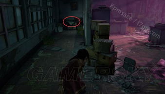 《神秘海域失落遗产》宝藏全攻略：解锁遗产秘境，照片支线一网打尽