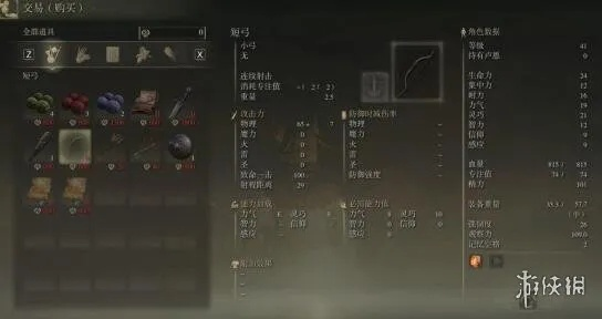 《艾尔登法环》萌新保姆级开荒攻略：实用技巧与流派打法深度解析