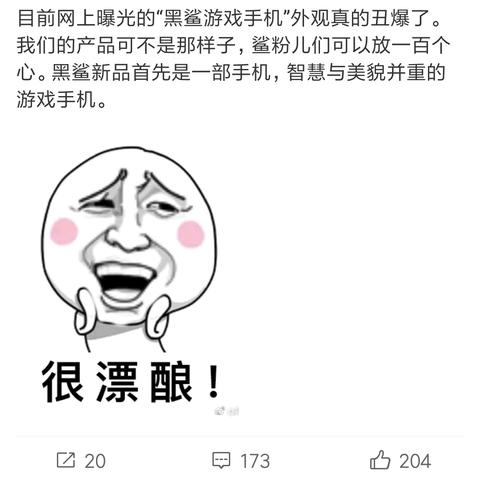 雷军谨慎言辞，辟谣成新挑战，小心措辞防误言