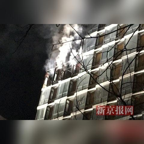 《街头霸王5》全角色图鉴揭秘，领略新世代格斗风采