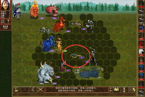 英雄无敌3宝物秘籍：全面解析全宝物属性与神奇功效