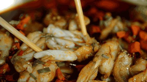 烹饪肉鸽新巅峰，Omelet You Cook好评如潮，玩家口碑炸裂！