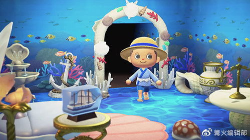 《动物森友会》扩音器攻略：大喇叭购买与使用技巧揭秘