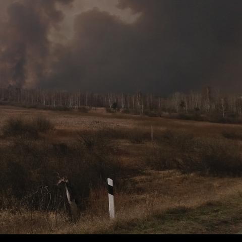 狙击外星人81关攻略：辐射禁区通关秘籍大揭秘！