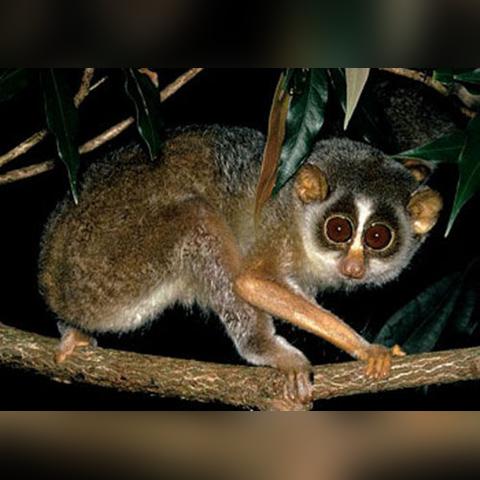 狙击外星人66关民宿菜地攻略：高效通关秘籍大揭秘