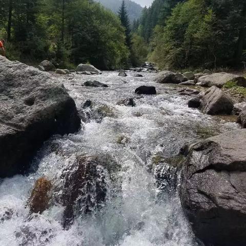 狙击外星人33关别墅区通关秘籍：高效攻略解析新技巧