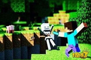 全模式轻松实现，Minecraft隐身秘籍大公开！