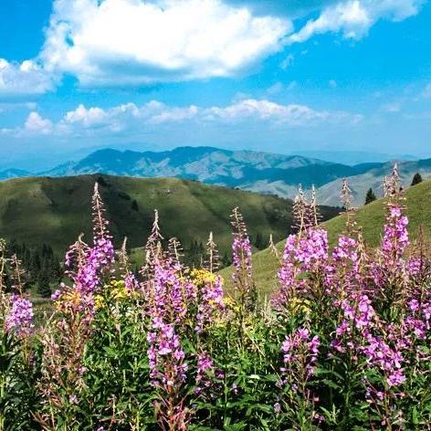 宝库秘藏，2026年如何高效掠夺游戏宝藏？