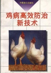食鸟鸭绝技解析：高效狩猎新体验