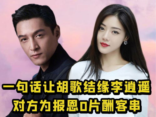 梅姨光环引辛芷蕾追梦，国际巨星梦背后：渴望万人敬仰的荣耀