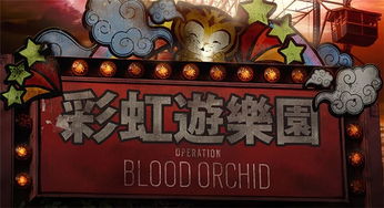 彩虹岛论坛的终极秘籍，2026年Q1高手如何快速突破瓶颈？