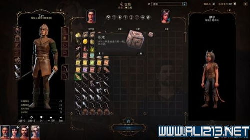 《博德之门3》重击骰优势解析：揭秘不同重击概率奥秘