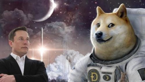 《三男一狗》NPC遭遇揭秘：热议背后惨状引深思