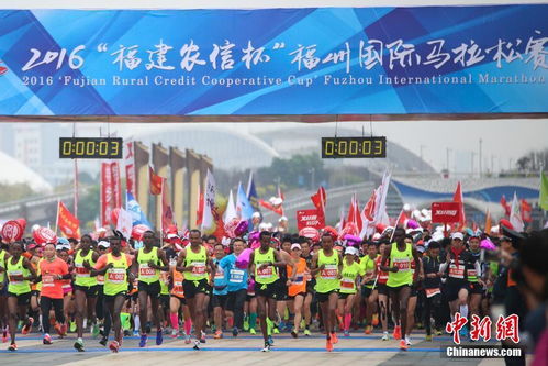 国区168元热销，马拉松游戏全球畅销榜跃升新高度！