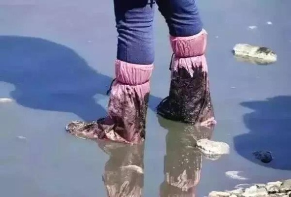 水袋之谜：探秘低素质行为背后的真相