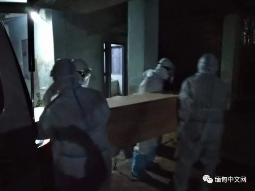 帕南直播浪漫戏码，父母惊现门内揭秘新剧情