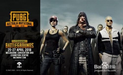 澳洲高管AI揭秘：R18游戏争议背后新视角