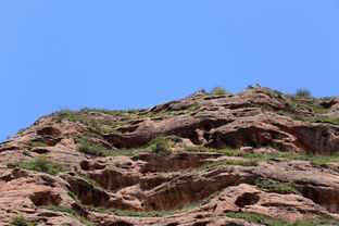 《原神》风蚀地遗迹开门密语解析：掌握3.1版本神秘暗语技巧