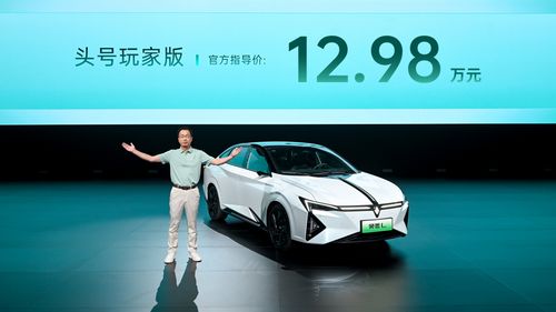 国产汽车新LOGO引热议：大象标变小米风，创新标引关注潮